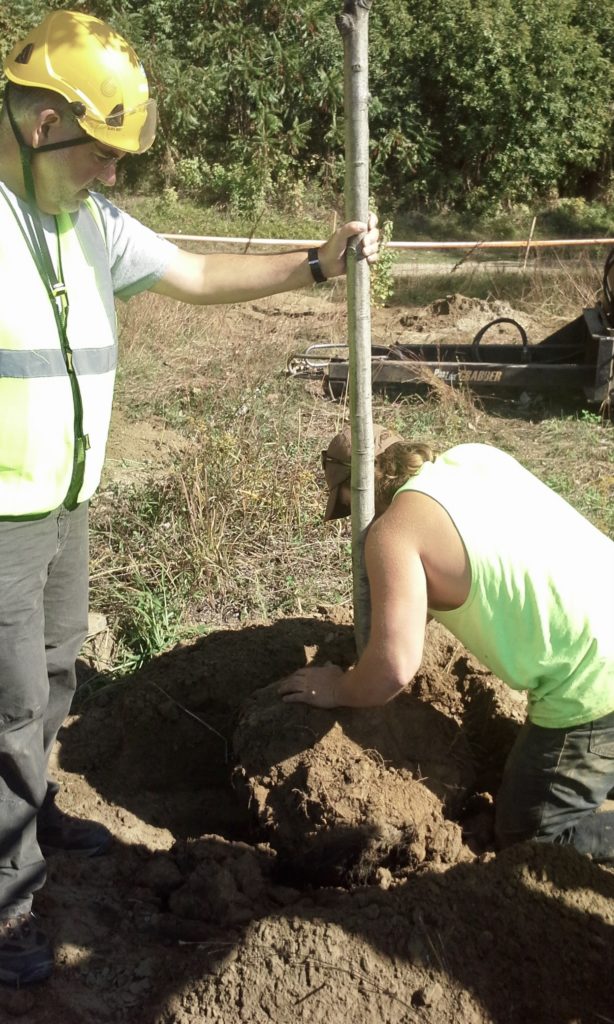 BPRW City Arborist Warren Spinner, aka ‘The Lorax,’ assists with tree planting.