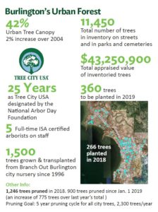 Poster showing Info about our urban tree canopy