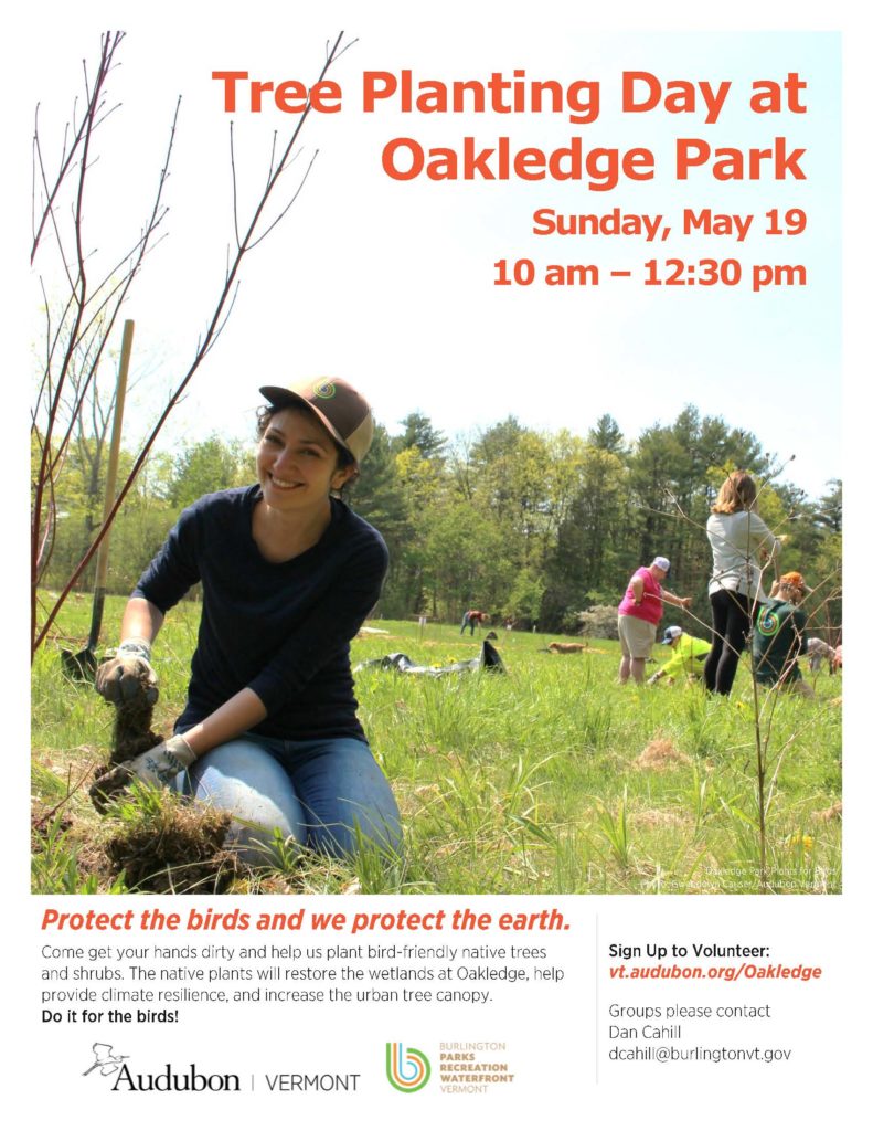 Tree planting day in Oakledge Park